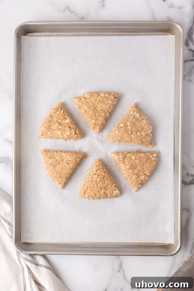 Overhead view of cinnamon oat scone dough shaped into a 7-inch disc and cut into six wedges, placed on a parchment-lined baking sheet.