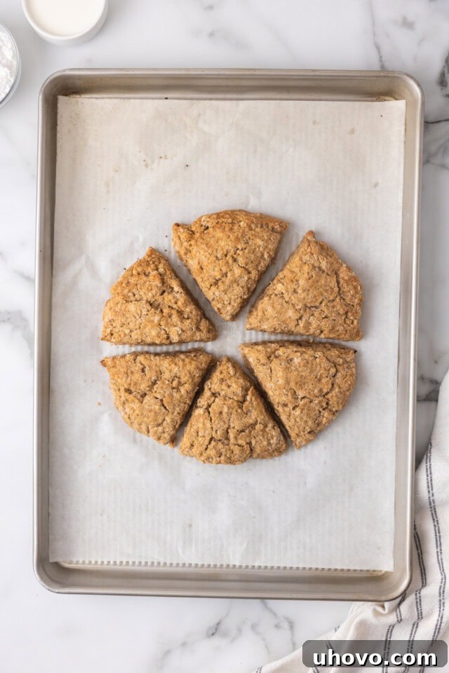 Overhead view of freshly baked cinnamon oat scones, golden brown and perfectly risen, cooling on a parchment-lined baking sheet.