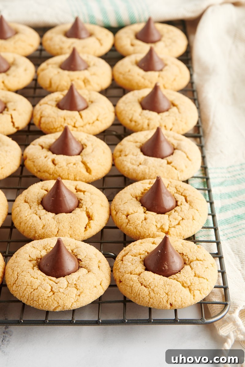 Perfectly baked Peanut Butter Blossoms cooling on a grid-pattern wire rack