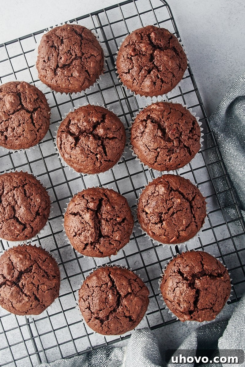 Delicious brownie cupcakes perfectly cooling on a spacious wire cooling rack