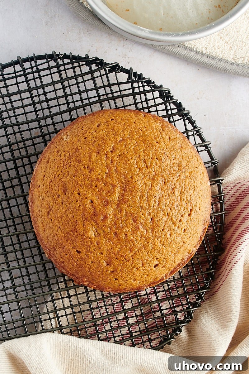 Overhead view of a freshly baked six-inch spice cake cooling on a wire rack, steam gently rising