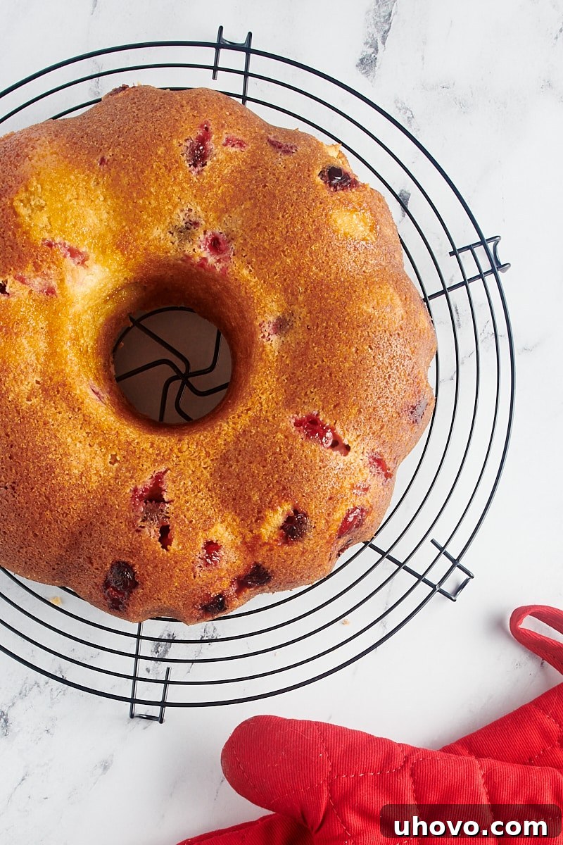 Elegant Cranberry Bundt Cake delicately cooling on a sturdy wire rack