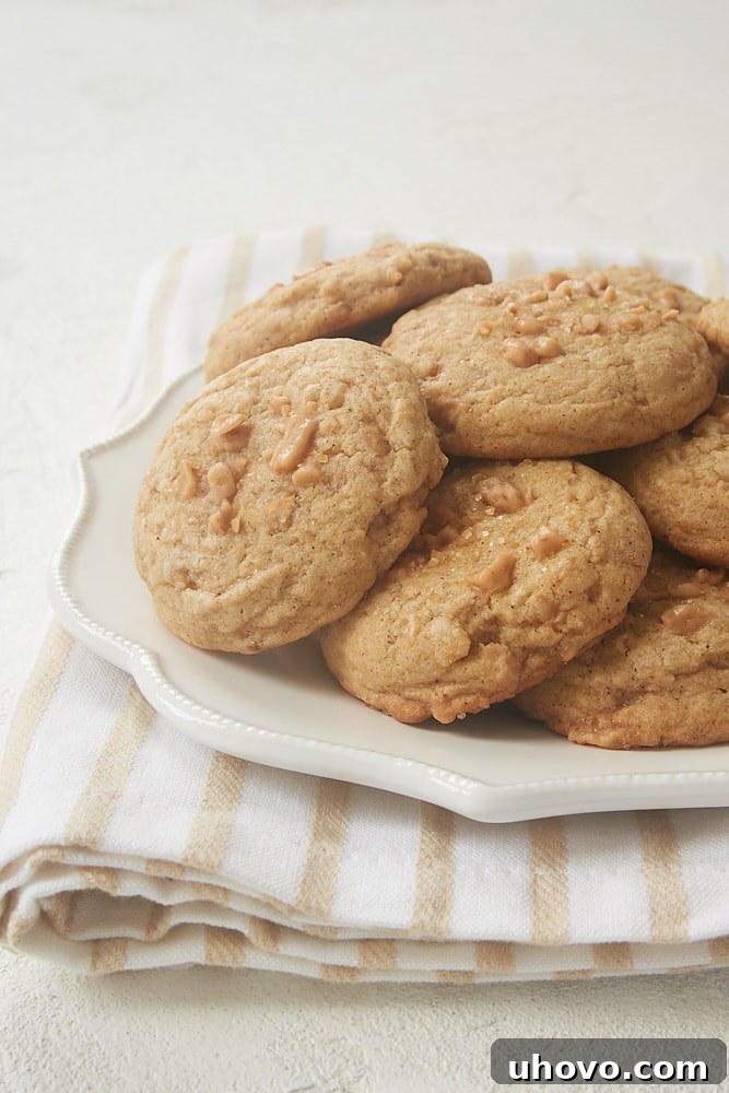 Irresistible Spiced Toffee Cookies, a perfect blend of spices and buttery toffee pieces, ideal for holiday baking and sharing.
