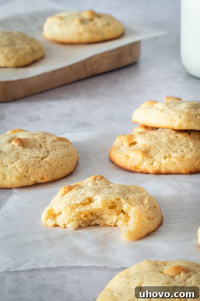 A close-up view of golden-hued Cream Cheese Macadamia Cookies artfully arranged on a sleek gray surface, showcasing their subtly crinkled tops and visible, perfectly toasted macadamia pieces.