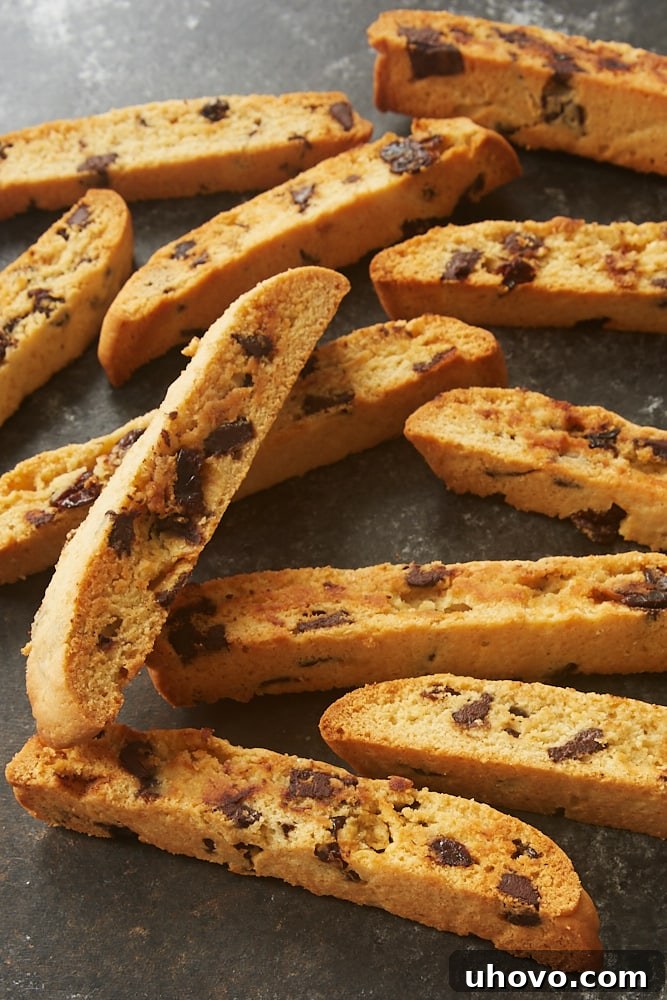Cherry Chocolate Chip Biscotti Logs Before Slicing