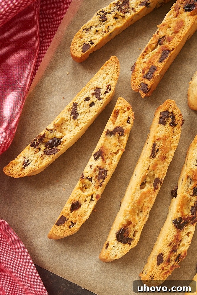 Cherry Chocolate Chip Biscotti with a rustic background