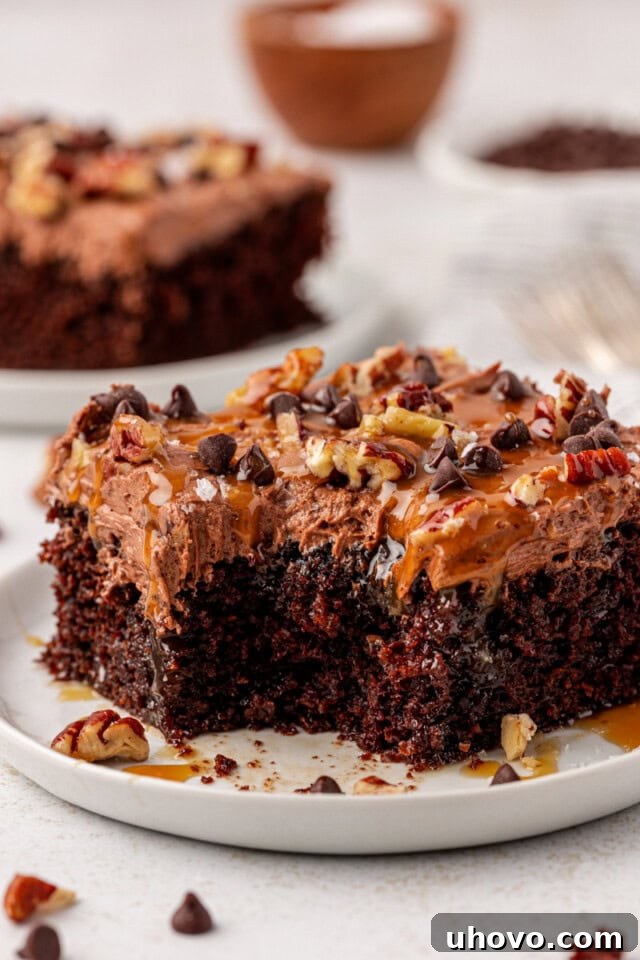 a slice of turtle cake with a bite missing on a white plate, with another slice of cake in the background