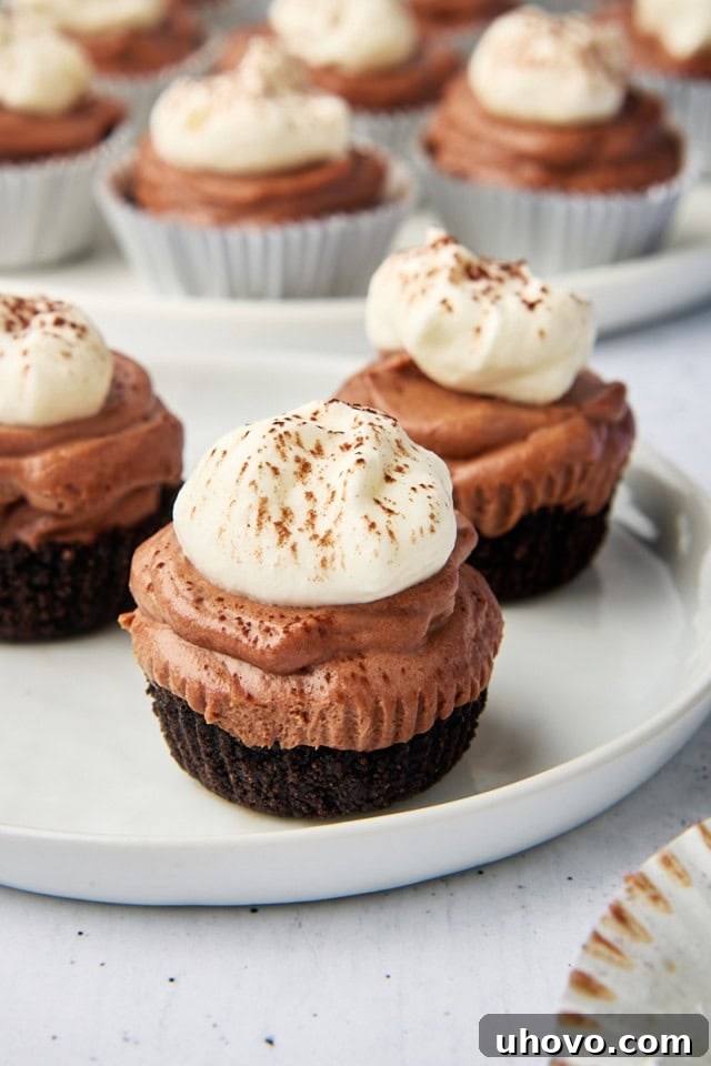 three mini no-bake chocolate cheesecakes on a white plate with more cheesecakes in the background