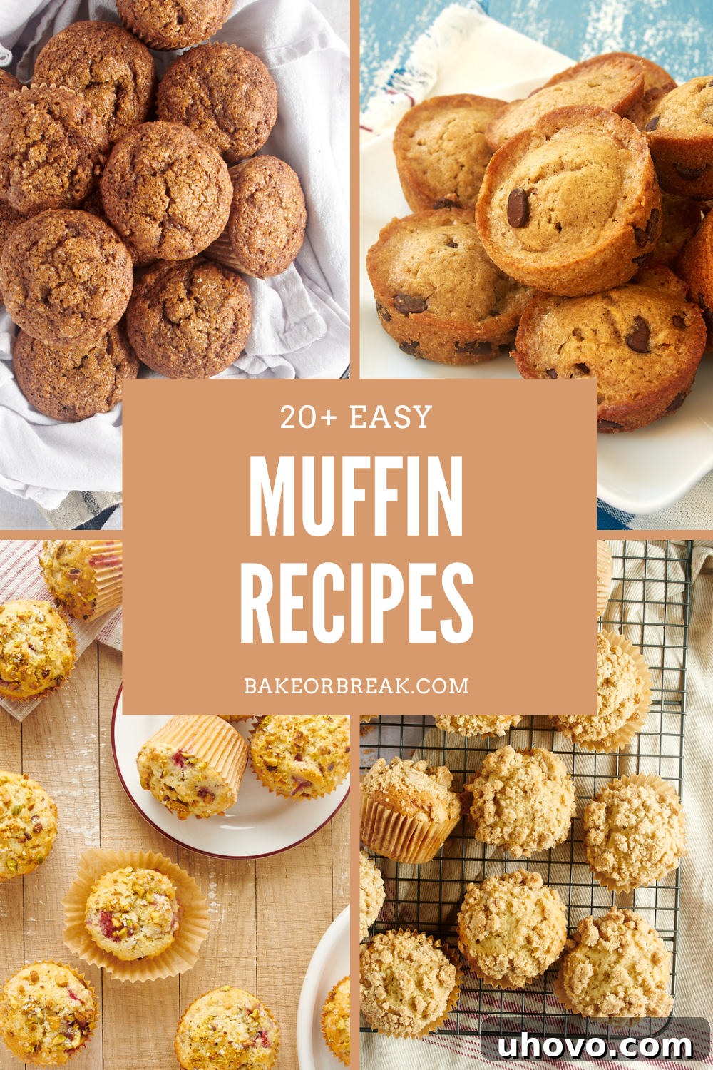 20+ Easy Muffin Recipes Bake or Break