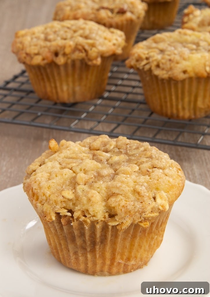 Yogurt and Granola Muffins