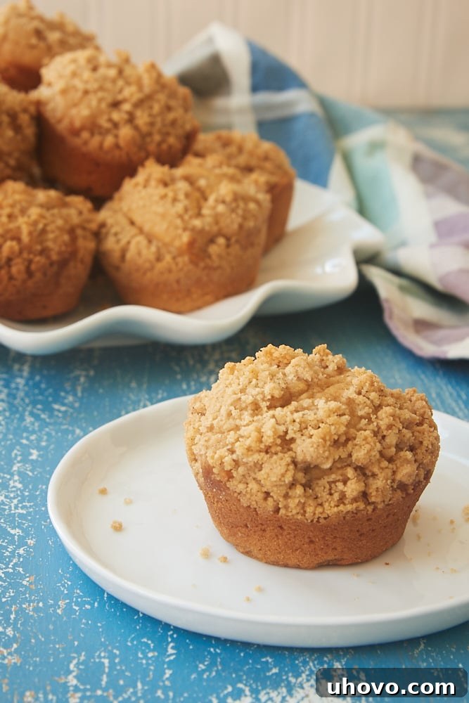 Cookie Butter Crumb Muffins