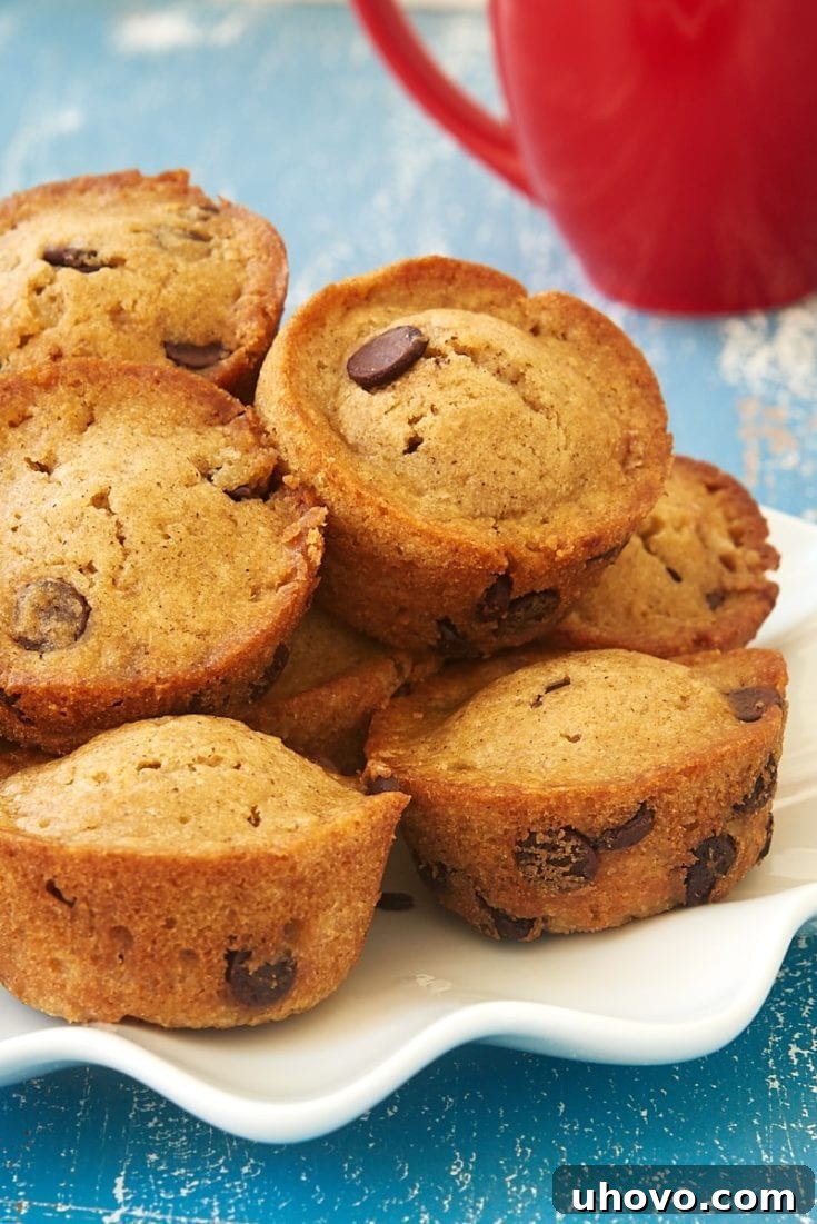 Chocolate Chip Muffins