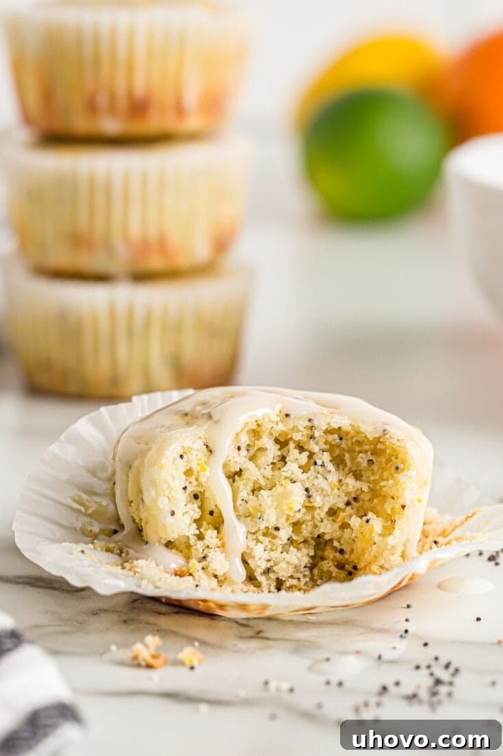 Triple Citrus Poppy Seed Muffins