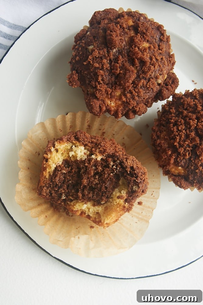 Black and White Marble Crumb Muffins