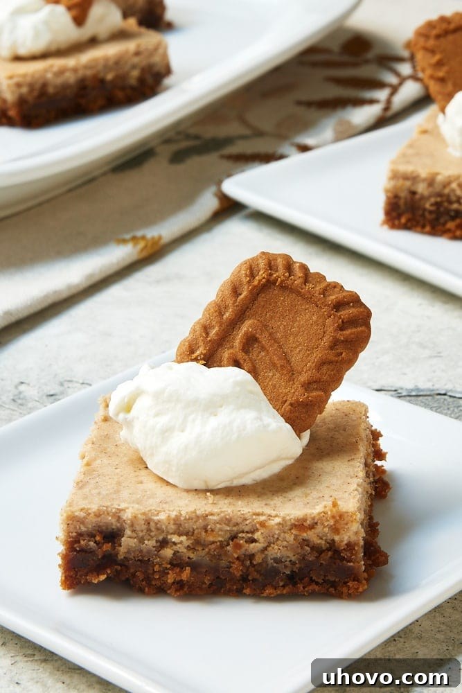 Spiced Cheesecake Bars with a Biscoff cookie crust