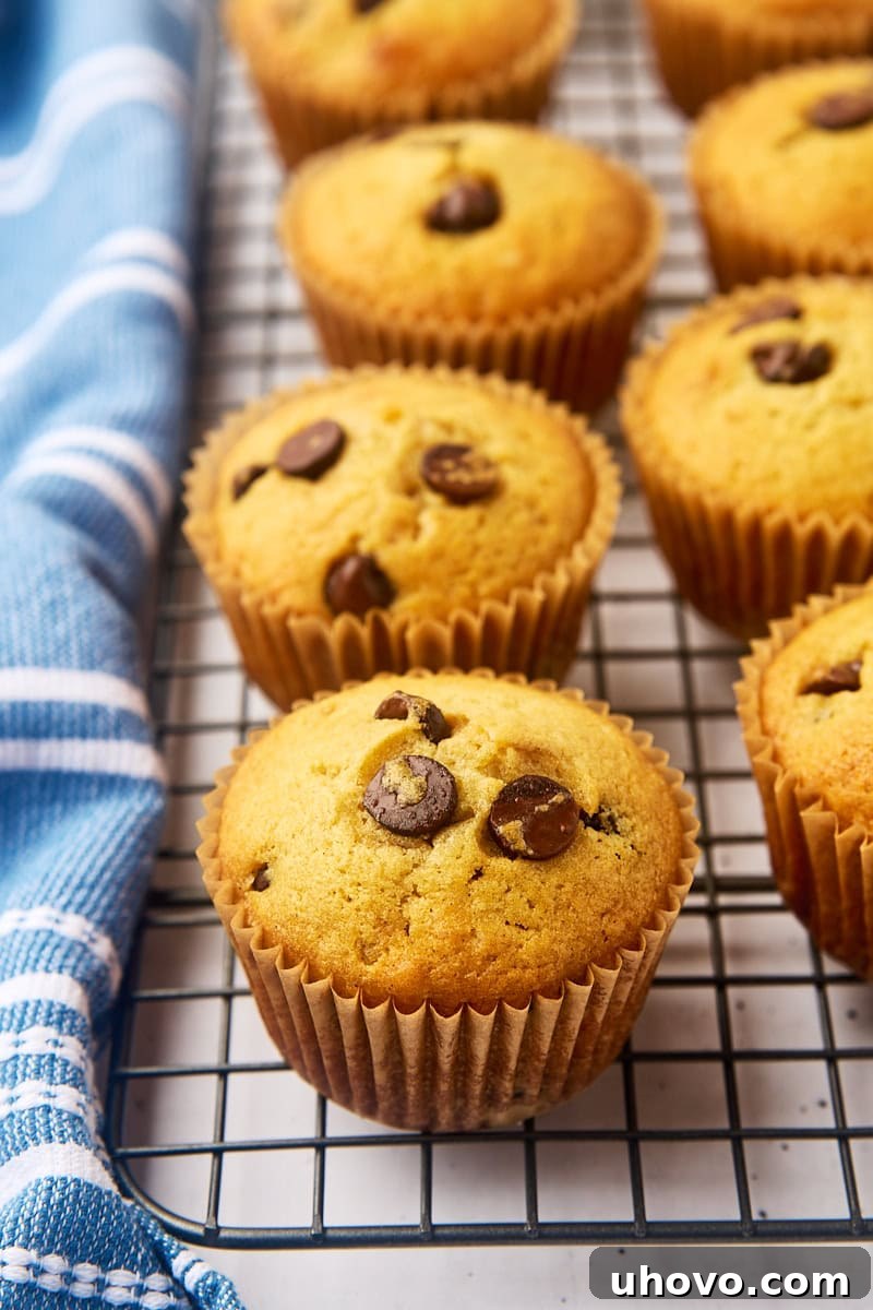 Homemade Chocolate Chip Muffins cooling on a wire rack
