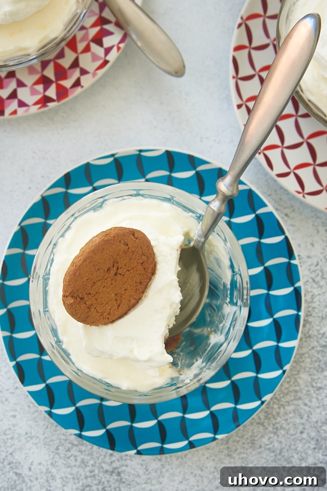 An inviting overhead view of a single No-Bake Lemon Cheesecake in a glass bowl on a colorful plate, showcasing its fluffy texture and golden crust.
