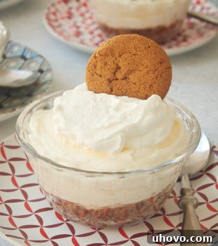 No-Bake Lemon Cheesecakes topped with sweetened whipped cream and gingersnaps, perfectly chilled and ready to serve.