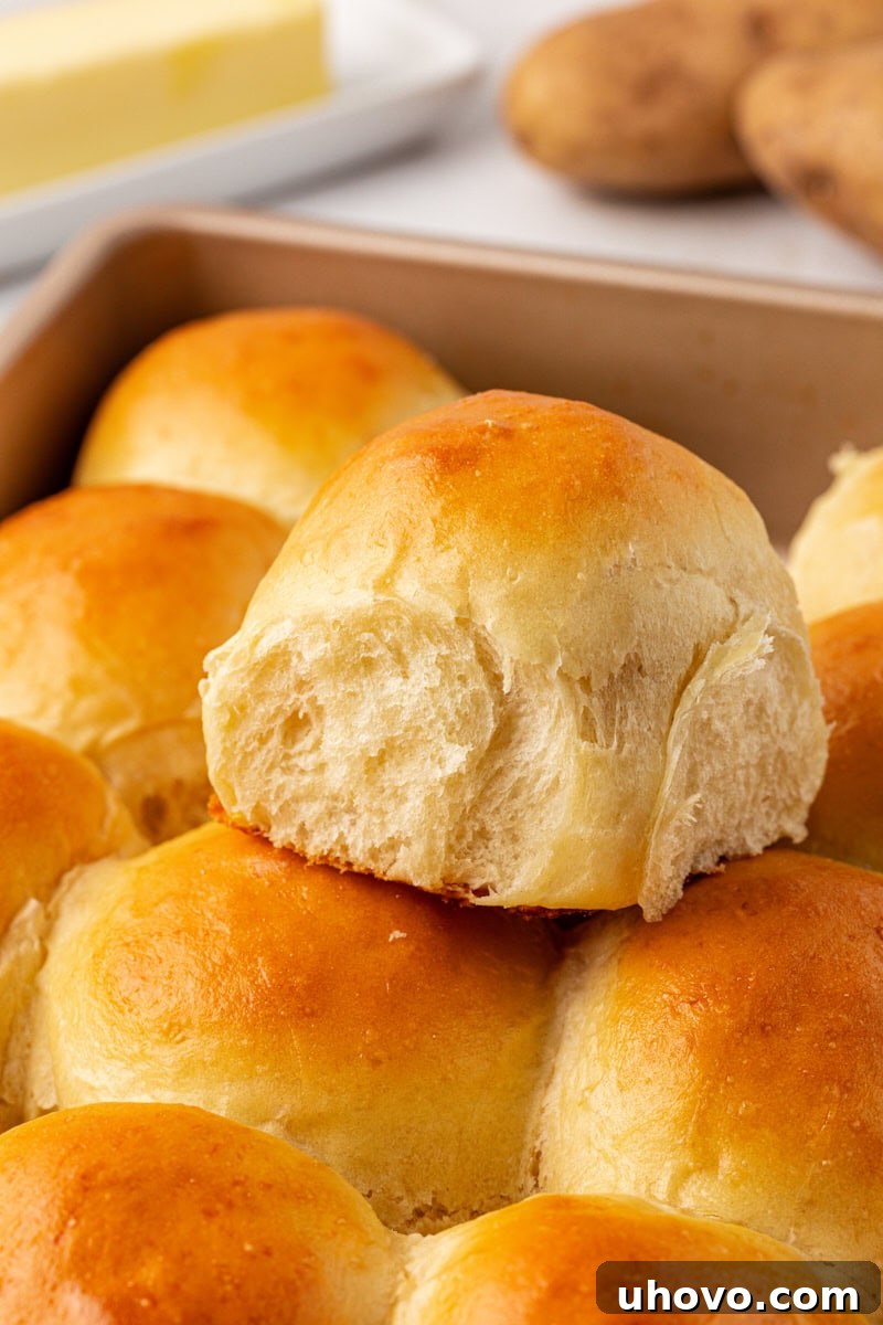 A single potato roll resting gently on top of a cluster of other potato rolls within a baking pan, highlighting its soft texture and golden crust.