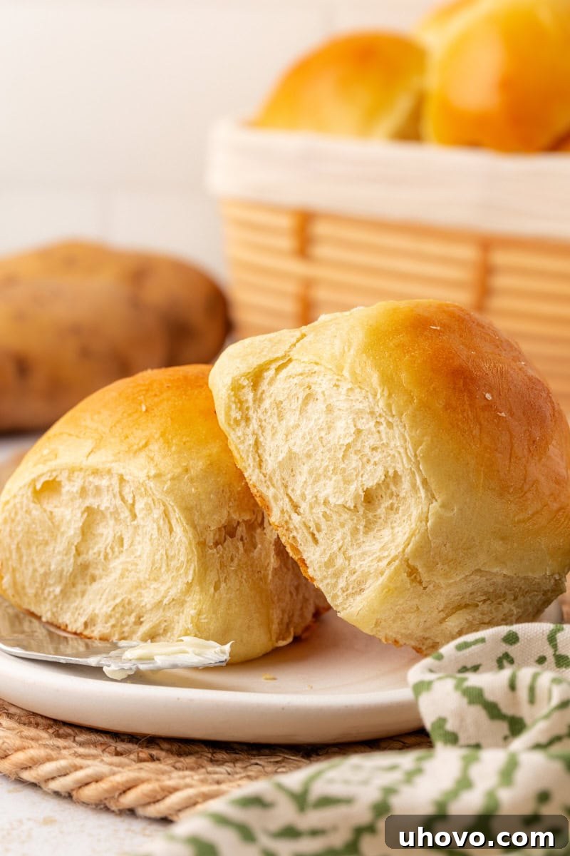 Two soft potato rolls arranged on a white plate, with a basket of additional rolls blurred in the background, inviting a delicious meal.