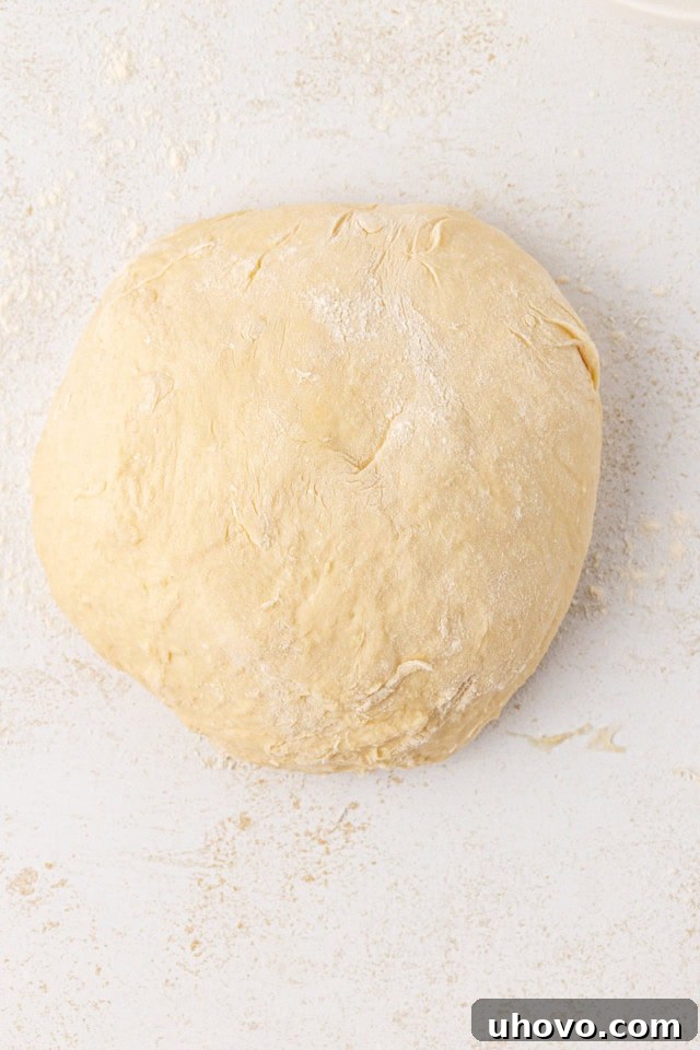 An overhead view of smooth, elastic potato roll dough on a lightly floured surface, having been kneaded to perfection and ready for its first rest.