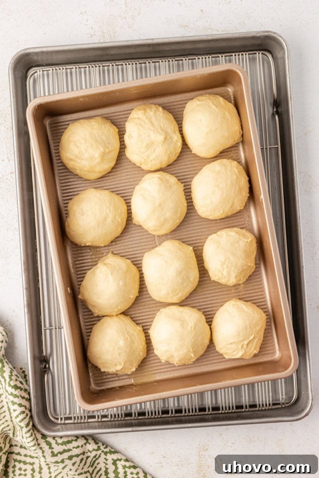 An overhead view of perfectly shaped potato rolls arranged in a rectangular baking pan, covered and ready to undergo their final rise before baking.