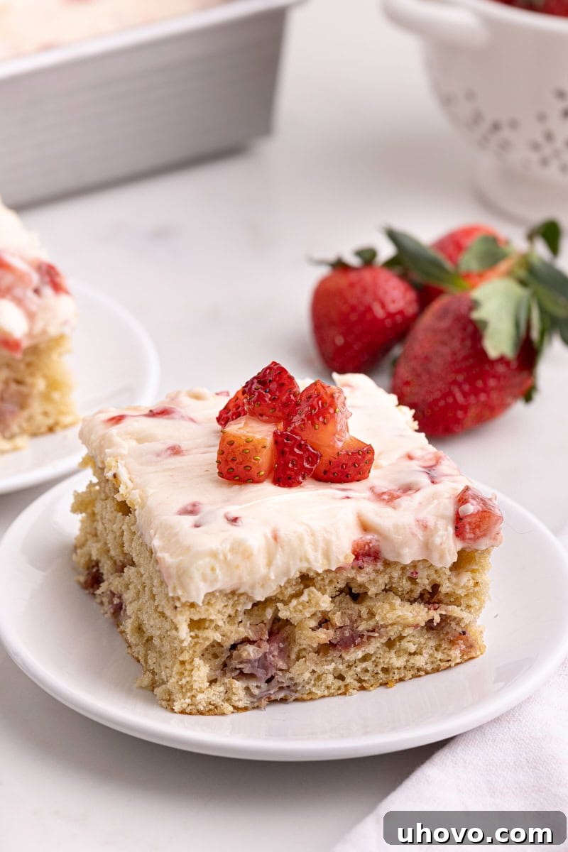 A delectable slice of strawberry sheet cake, generously topped with chopped fresh strawberries and ready to be enjoyed.