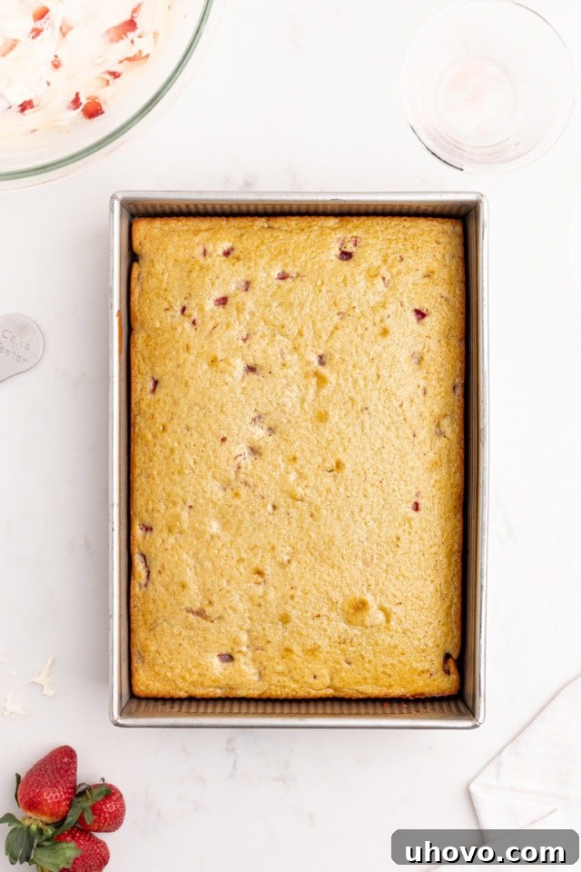 A warm, inviting overhead view of a freshly baked strawberry sheet cake, golden brown at the edges and perfectly set, cooling in its rectangular baking pan.
