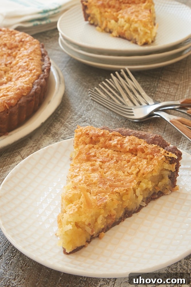 A perfectly sliced Coconut Chess Pie with a chocolate crust on a white plate, ready to be enjoyed.