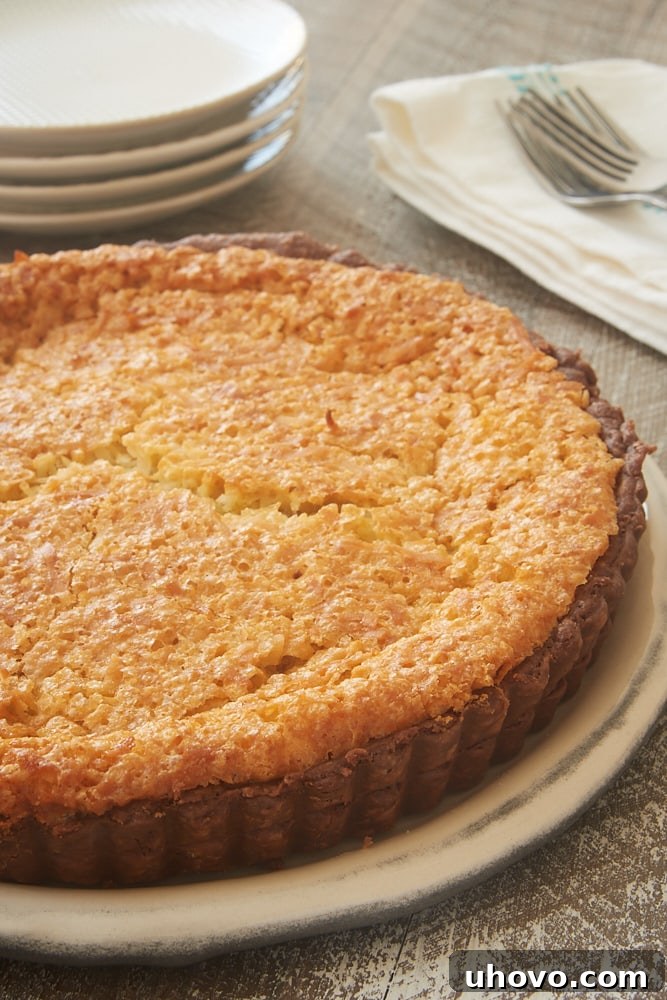 A full Coconut Chess Pie with a chocolate crust displayed on a beautiful serving platter, showcasing its golden-brown top.