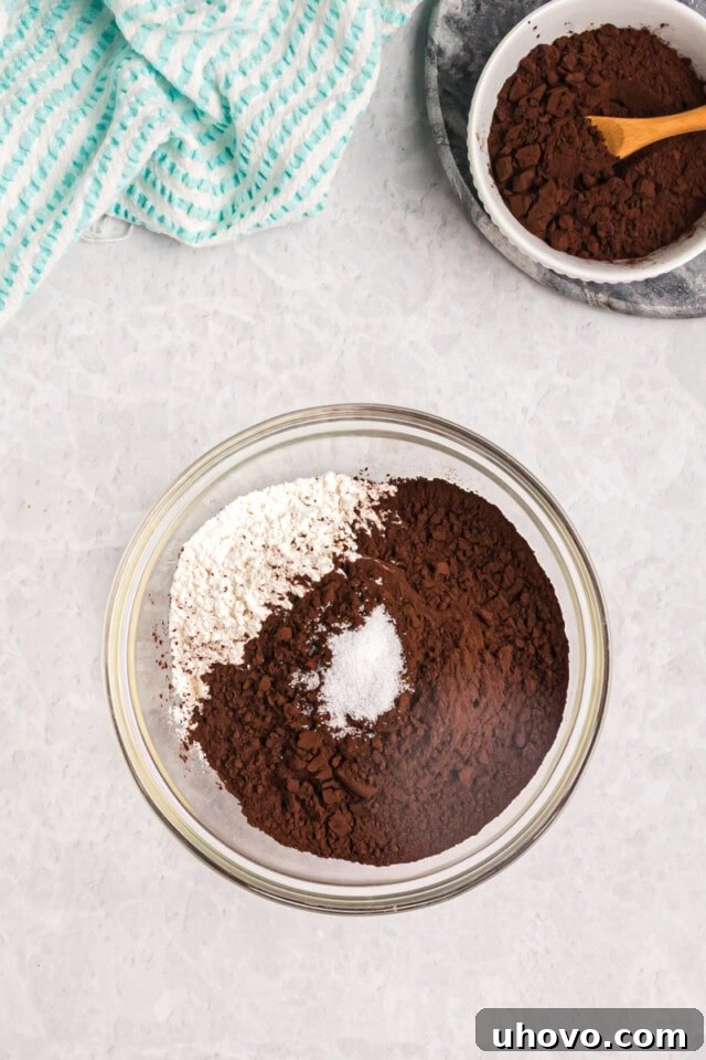 overhead view of flour, dark cocoa powder, and salt in a mixing bowl
