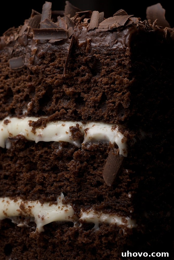 Decadent Triple-Layer Chocolate Cake with Dual Cream Cheese Frostings