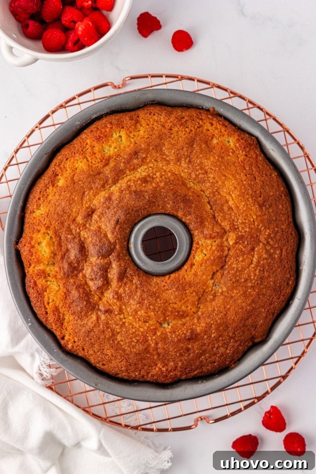 A freshly baked raspberry Bundt cake cooling in its Bundt pan on a wire rack, still warm from the oven.