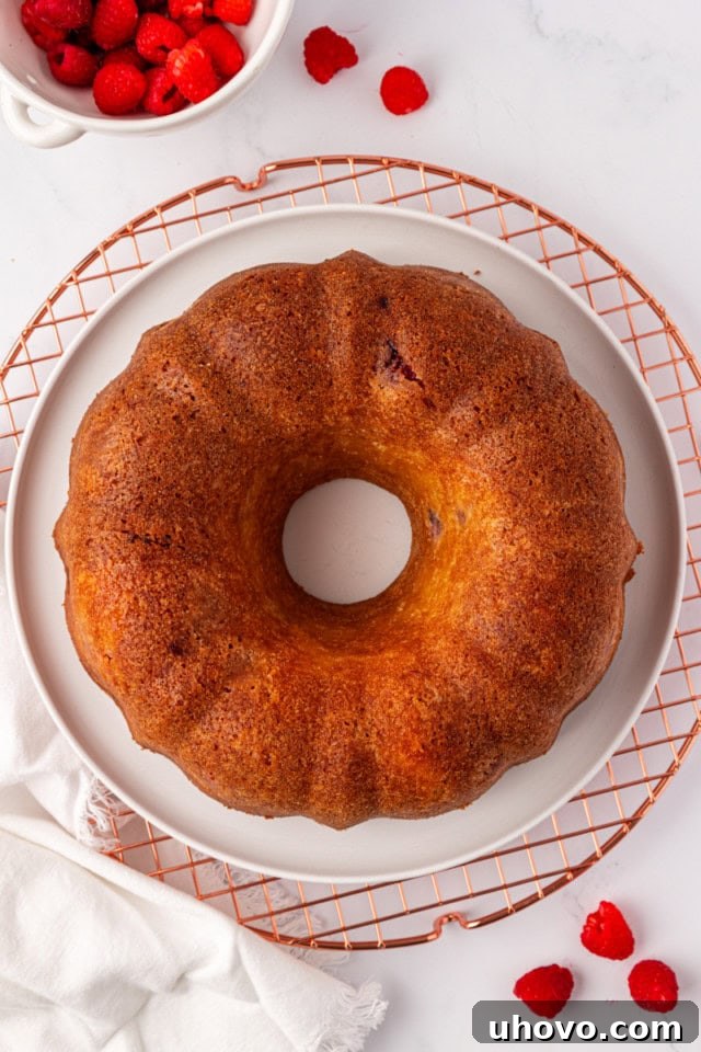 The perfectly baked raspberry Bundt cake inverted onto a wire rack to cool completely, showcasing its beautiful shape.