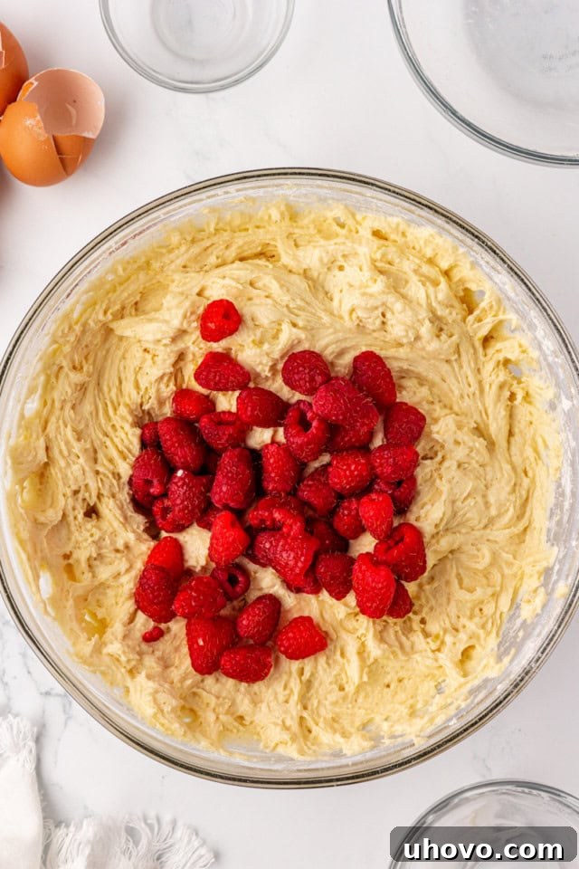 Fresh raspberries being gently folded into the cake batter in a large glass mixing bowl, ensuring even distribution.