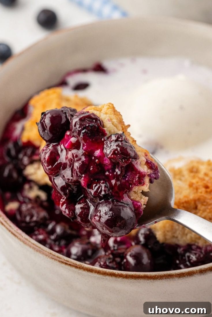 Blueberry Cobbler with Ginger Biscuits, featuring plump blueberries and fluffy, spiced topping.