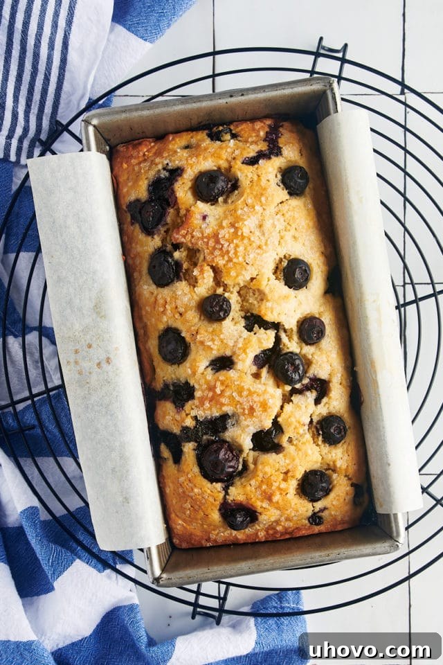 Baked blueberry bread in a loaf pan.