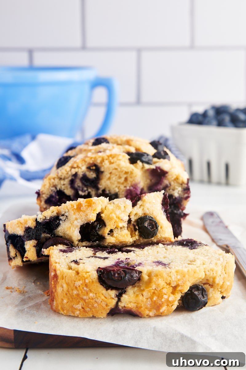 Slices of blueberry loaf on a countertop.