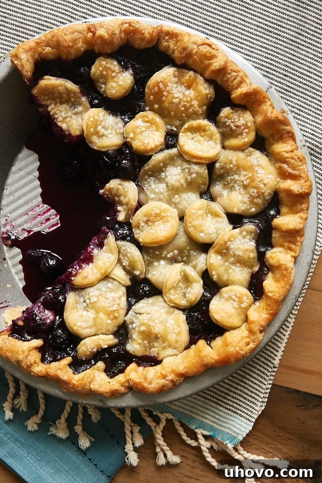 Overhead view of a beautifully baked Blueberry Ginger Pie in a metal pie plate, showcasing its golden crust and vibrant filling.
