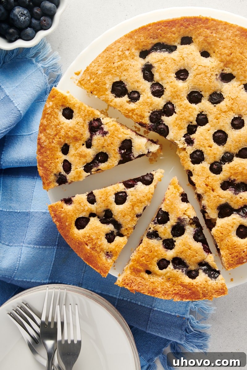 Overhead view of a round blueberry cake with three slices already cut, revealing the tender crumb and scattered blueberries.