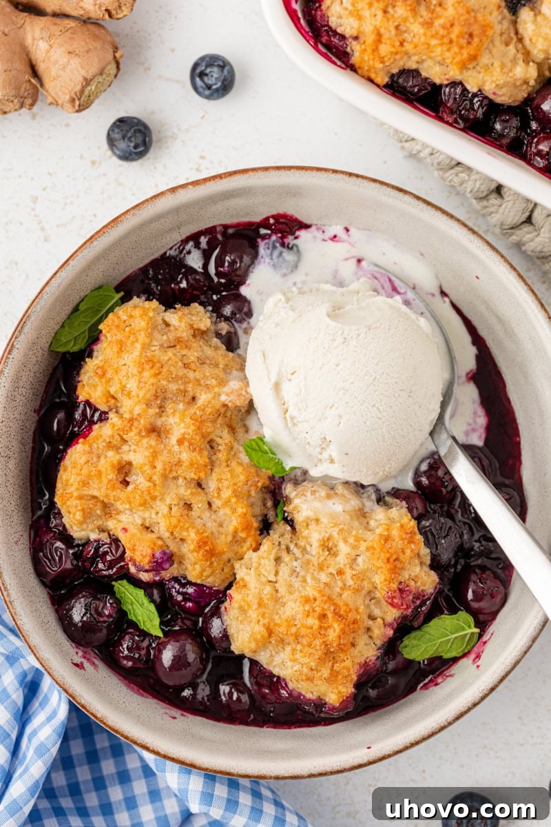 Overhead view of a warm bowl of blueberry cobbler topped with a scoop of melting vanilla ice cream.