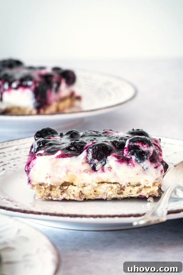 A delectable slice of Blueberry Jamboree on a white and gray patterned plate, revealing layers of creamy filling and nutty crust.