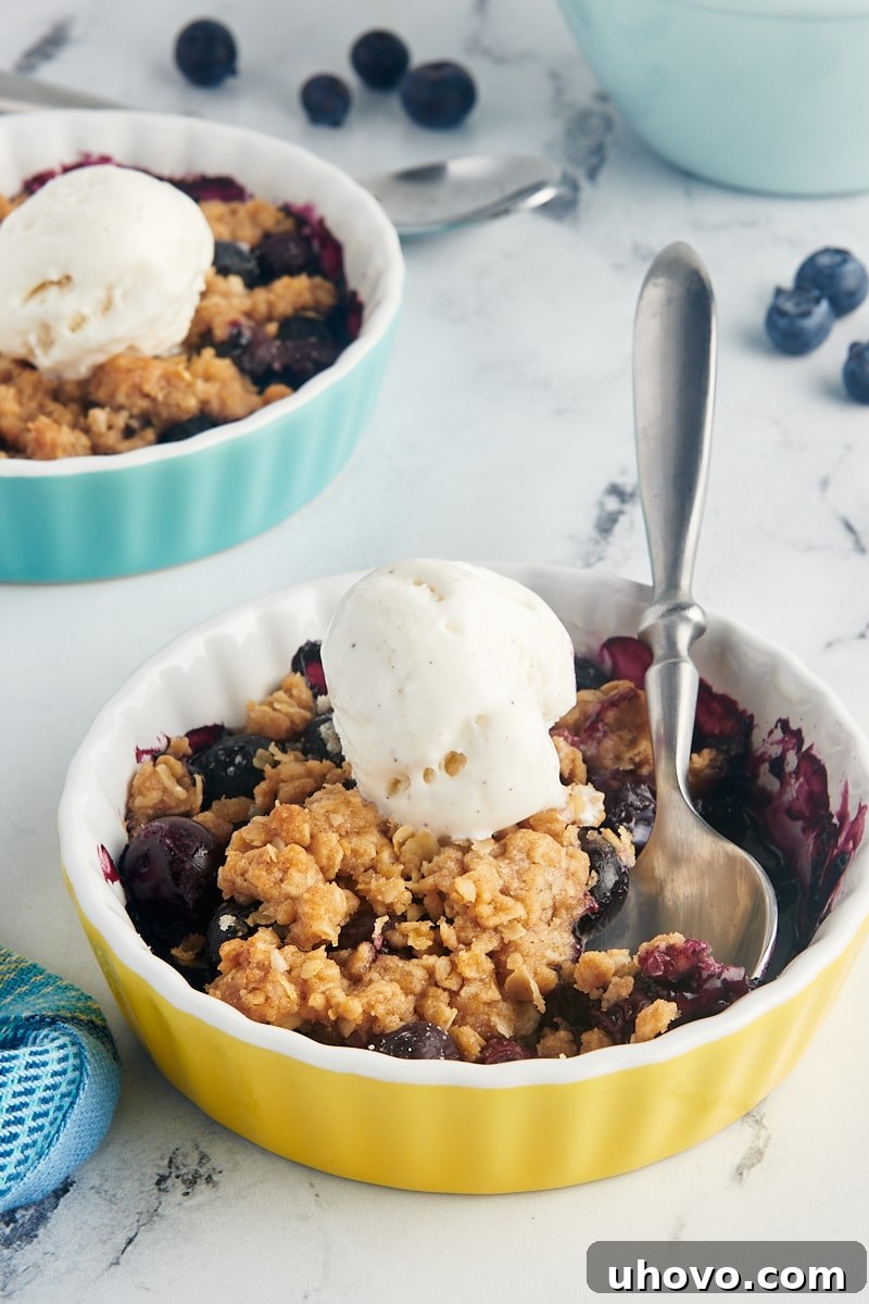 Two small, individual dishes of warm blueberry crumble, one topped generously with a scoop of vanilla ice cream, ready to be enjoyed.
