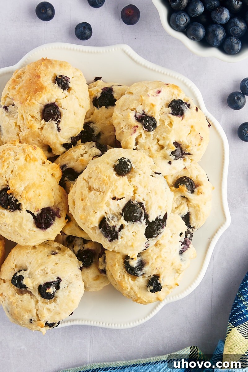 Overhead view of a stack of fluffy blueberry drop biscuits on a white plate, showcasing their rustic charm.