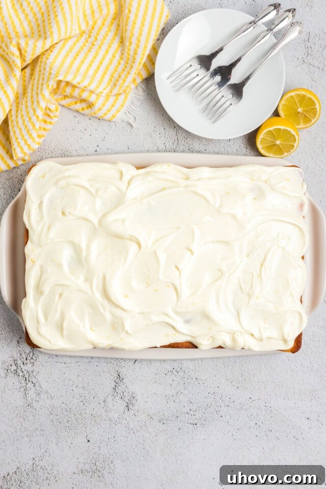 Overhead view of a lemon sheet cake generously topped with lemon cream cheese frosting, smooth and ready for serving.