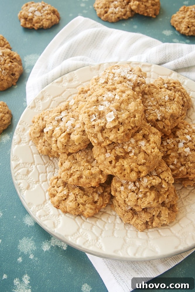 Freshly baked Salted Oatmeal Cookies on a clean white plate, showcasing their delightful texture and golden-brown edges.