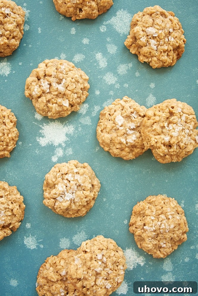 Close-up of Salted Oatmeal Cookies arranged on a rustic blue background, highlighting the flaky salt topping.