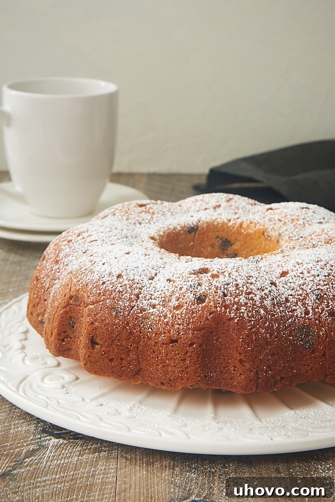 Chocolate Chip Muffin Cake on a white cake plate, generously studded with chocolate chips and dusted with powdered sugar.
