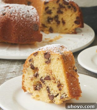 slice of Chocolate Chip Muffin Cake