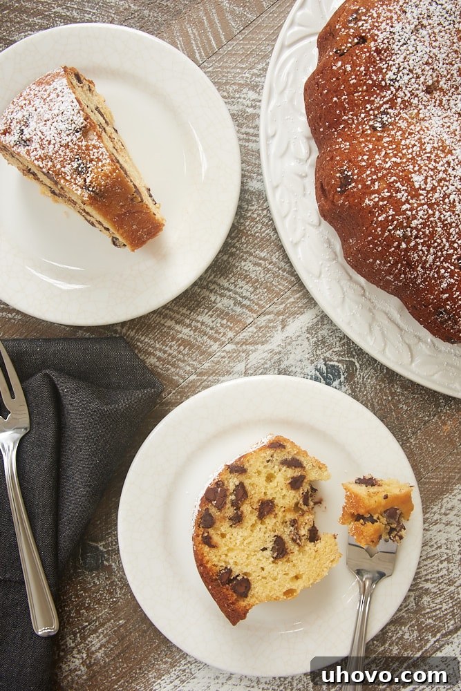 Several slices of Chocolate Chip Muffin Cake on a white plate, showcasing the even distribution of chocolate chips.